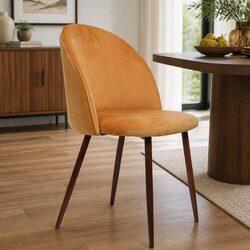 Dining Chairs Set of 2: Specs & Features Overview