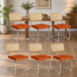 Rattan Dining Chairs Set of 6: Dimensions & Specs