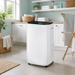 20L/Day Dehumidifier: Specs for Large Room Efficiency