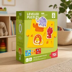 Leveled Puzzle Step 0: Dimensions 20cm x 24cm x 8cm