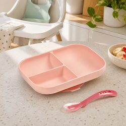 Specifications for Silicone Suction Divided Plate Spoon Set