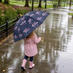 Specifications of the Pegasus Colour Changing Umbrella for Kids