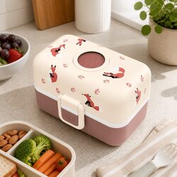 Compact Kids Bento Lunch Box: Dimensions and Specs