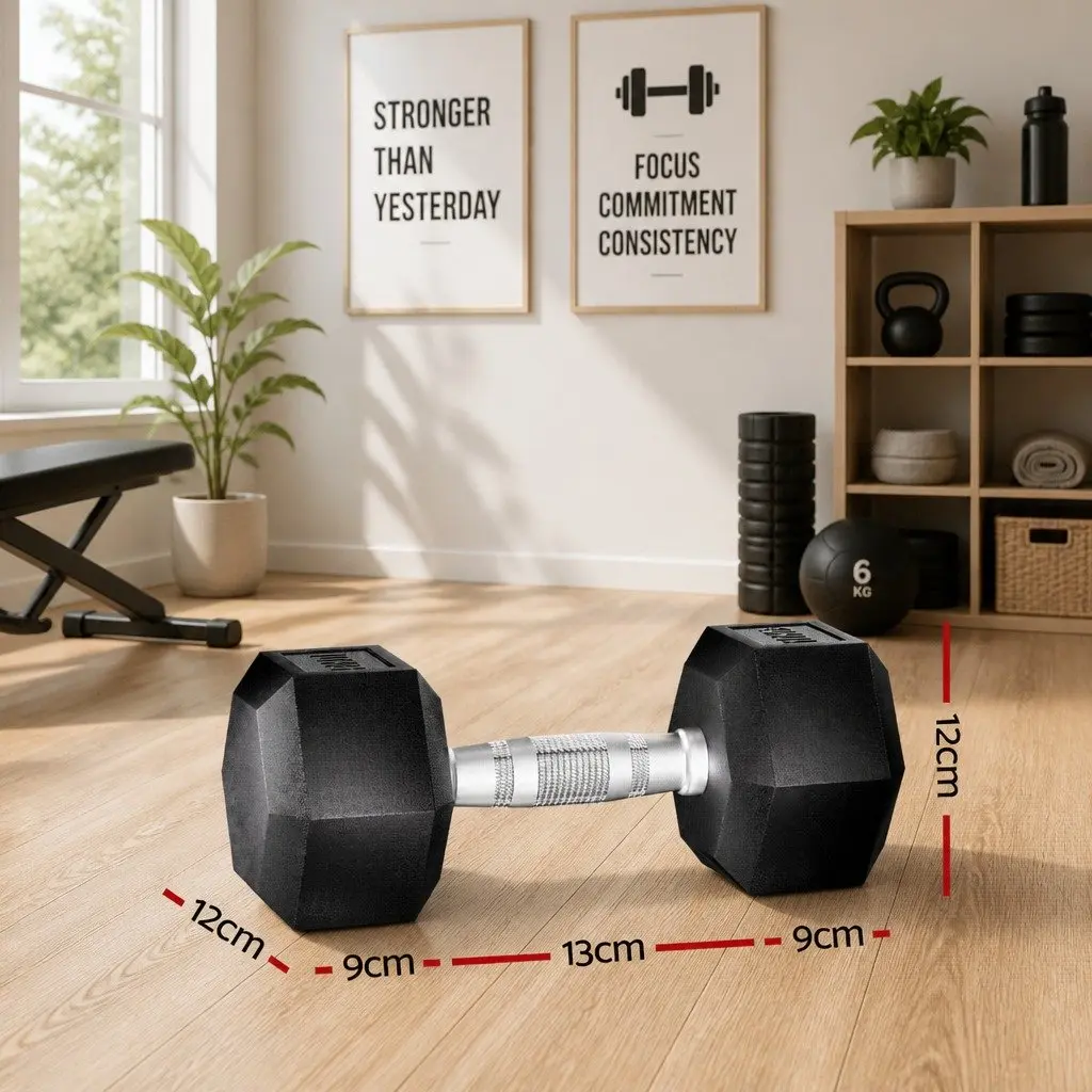 Hex Dumbbells Set for Home Gym Fitness 20kg 2 Pieces