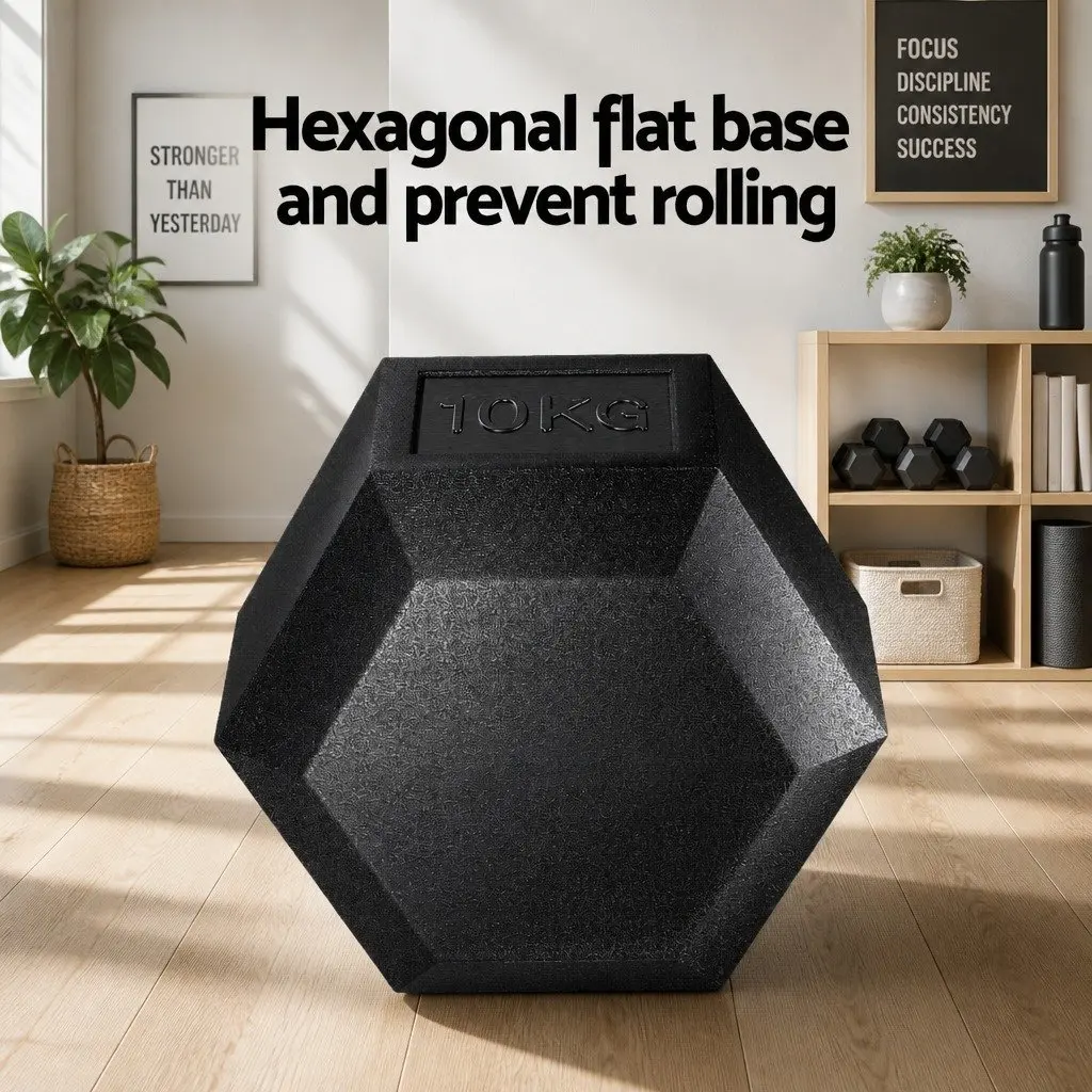 Hex Dumbbells Set for Home Gym Fitness 20kg 2 Pieces