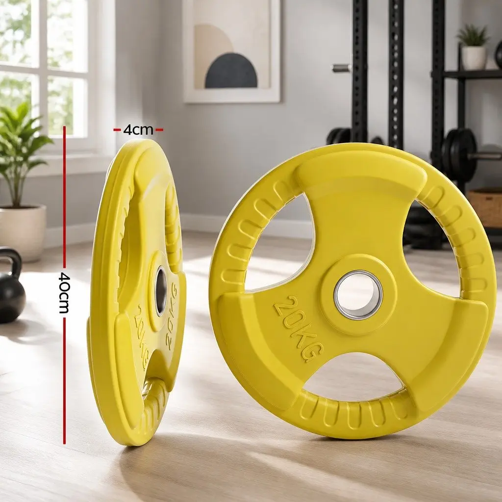 Olympic Weight Plates Home Gym 20kg Pair Cast Iron