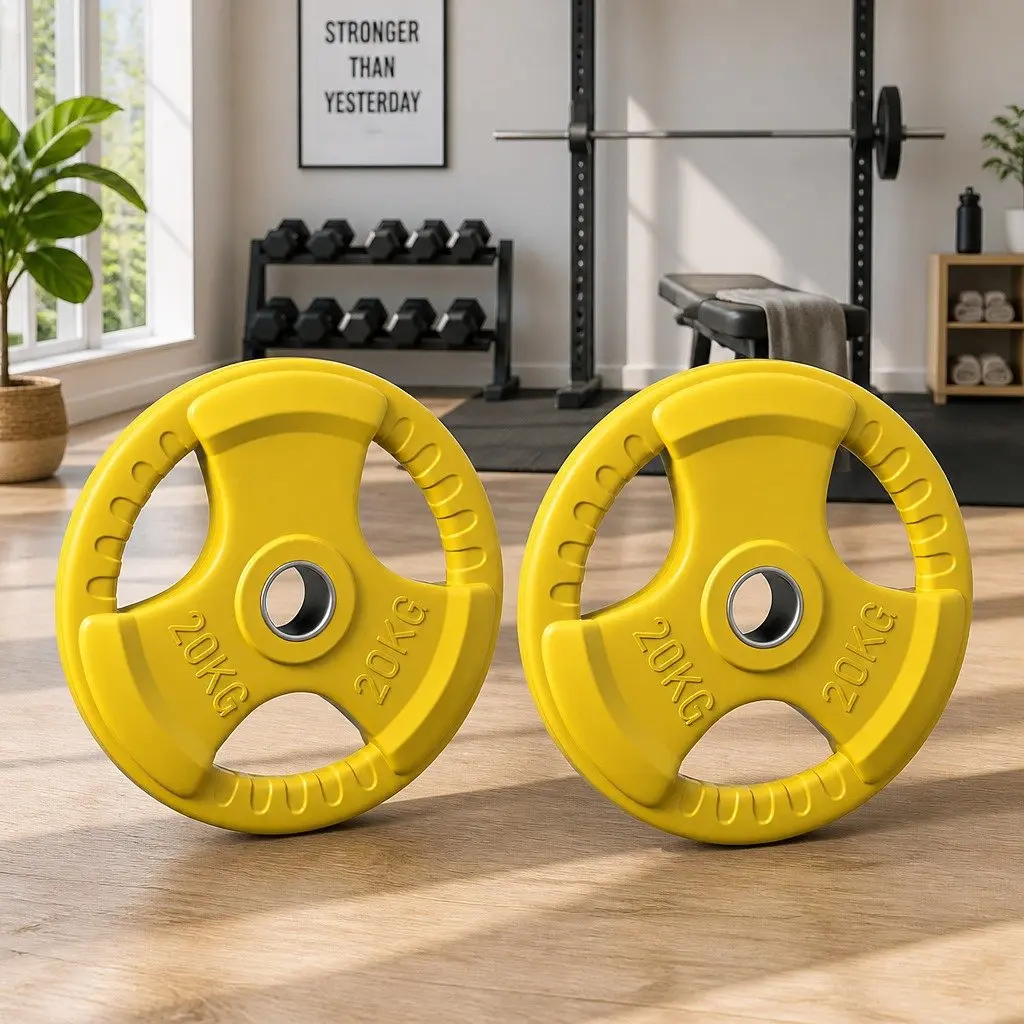 Olympic Weight Plates Home Gym 20kg Pair Cast Iron