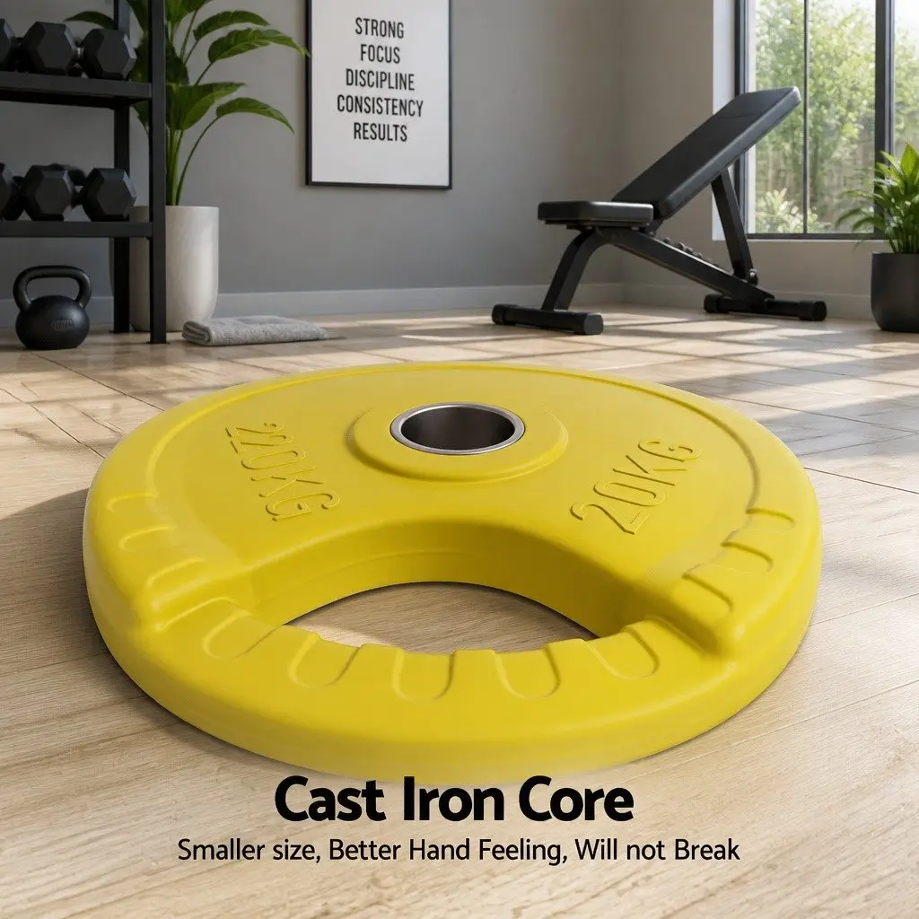Olympic Weight Plates Home Gym 20kg Pair Cast Iron