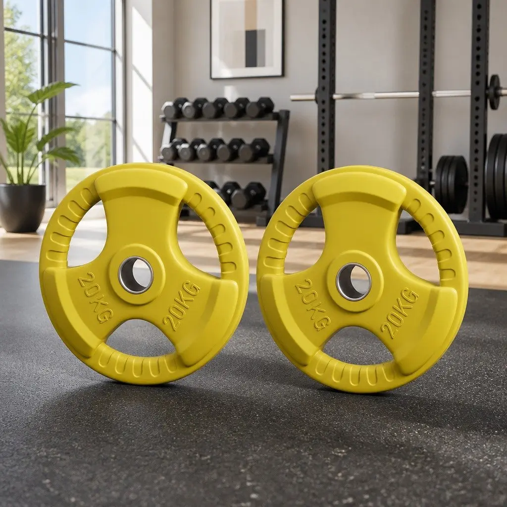 Olympic Weight Plates Home Gym 20kg Pair Cast Iron