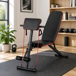 Adjustable Weight Bench Specifications: 260kg Capacity