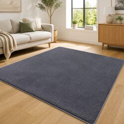 Specifications of Dark Grey Shaggy Area Rug 200x230cm