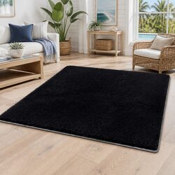 Specifications of the Black Plush Shaggy Area Rug 200x290cm