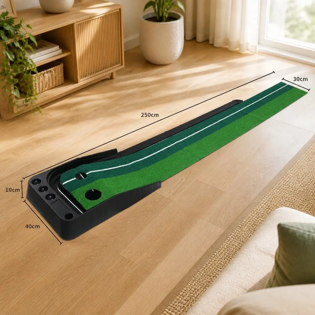 Golf Putting Mat Indoor Practice Trainer Dual Holes 250cm x 40cm