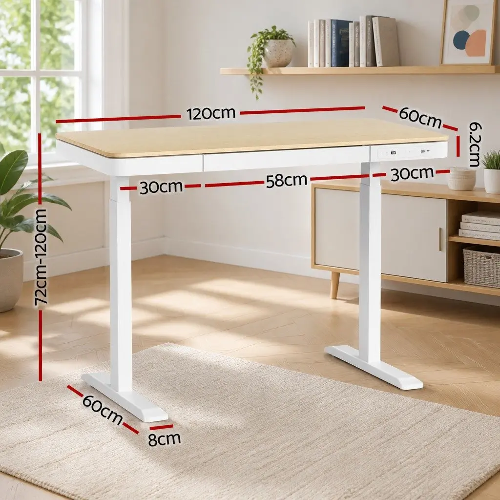 Electric Sit Stand Desk Office Walnut 120cm