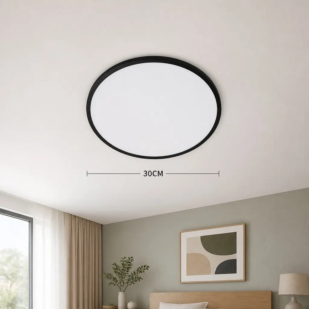 LED Ceiling Light for Home Interior 30cm Black Modern Dimmable 3-Colour 36W