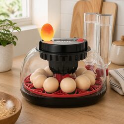 Specifications of 12 Egg Incubator with LED Candler