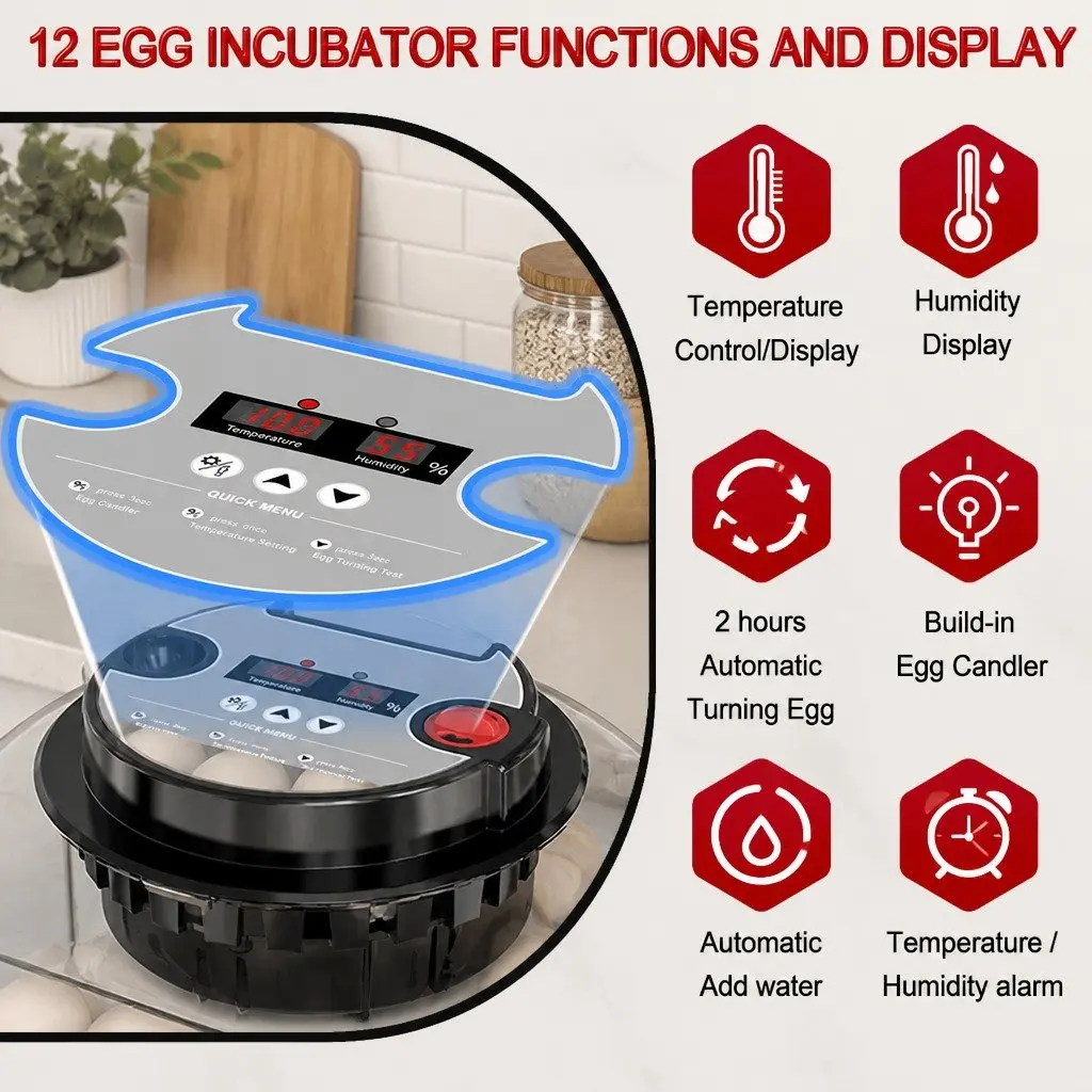 12 Egg Incubator with LED Candler