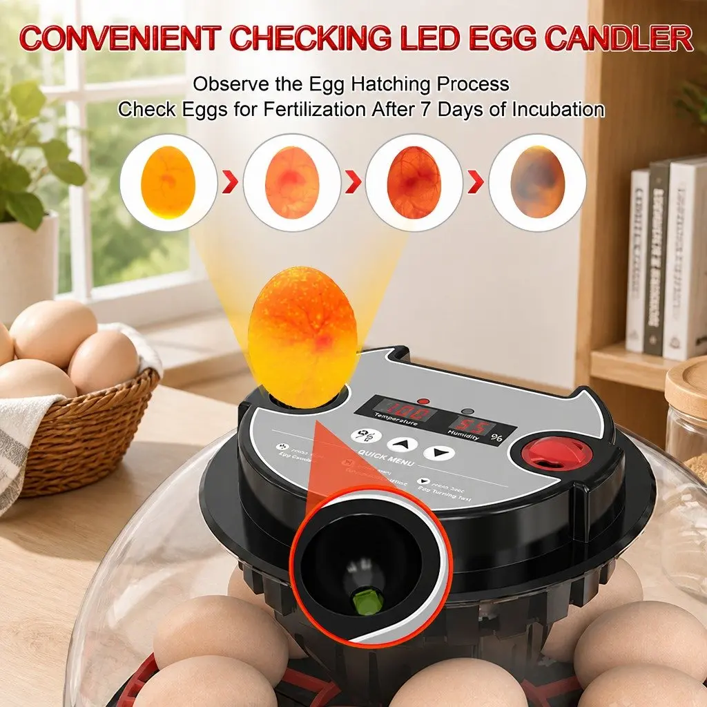 12 Egg Incubator with LED Candler