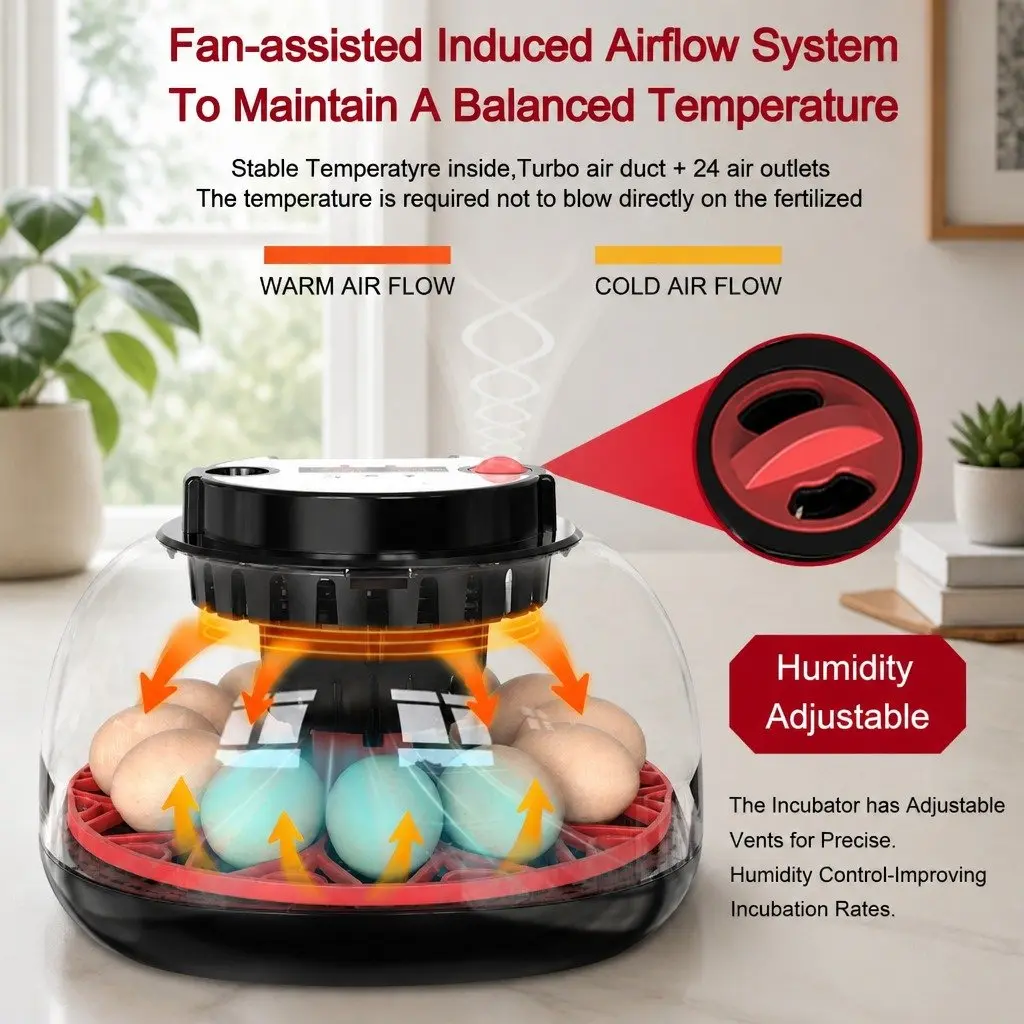 12 Egg Incubator with LED Candler