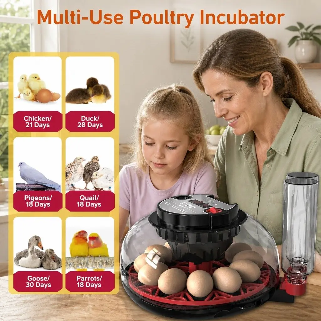 12 Egg Incubator with LED Candler