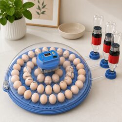 52 Egg Incubator: Dimensions, Specs, and Features