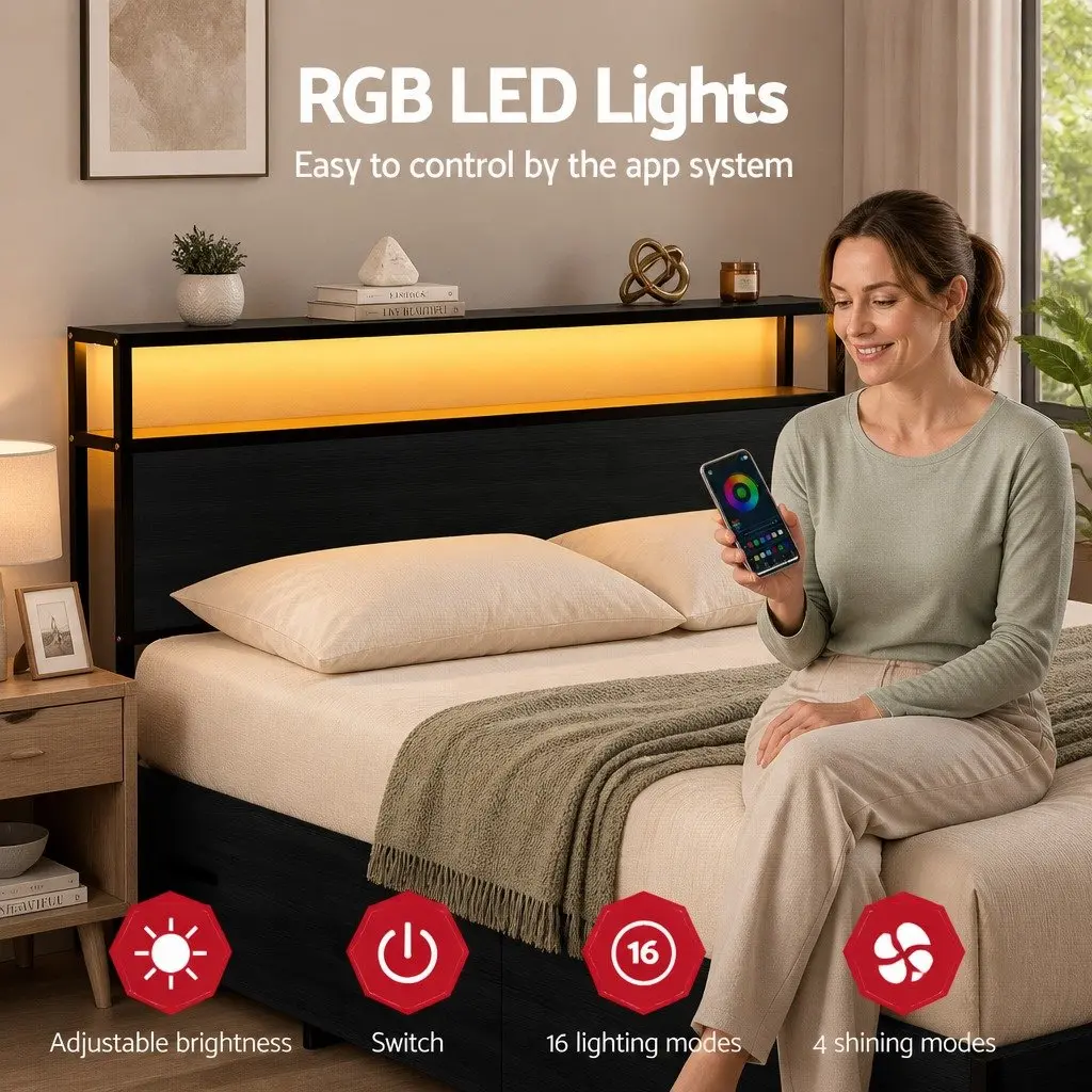 Metal Bed Frame for Queen Mattress with LED and Storage