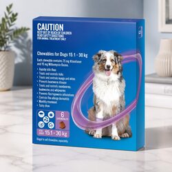 Dogs 15.1-30kg Monthly Chewable Parasite Treatment 6 Pack