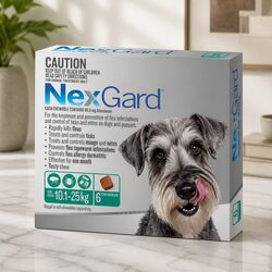 Oral Flea and Tick Chewable Tablets for Large Dogs - 6 Pack