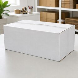 White RSC Carton 480x280x180mm Flat Packed Corrugated Box 50 Pack