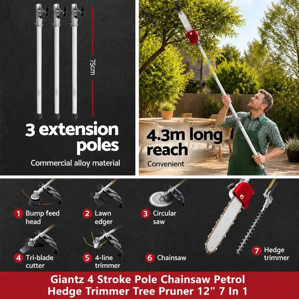 4 Stroke Pole Chainsaw with 31cc Engine