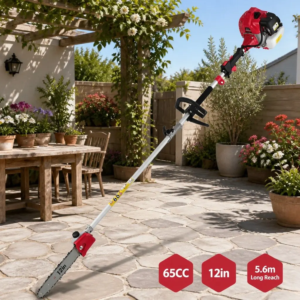 Pole Chainsaw Petrol 12in for Pruning 5.6m Reach