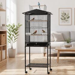 Dimensions and Features of the Open Top Parrot Cage