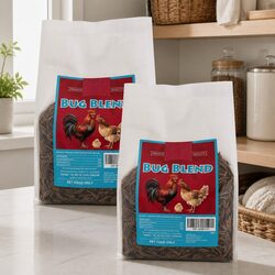 Bug Blend 750g High Protein Bird Treat: Ingredients & Usage