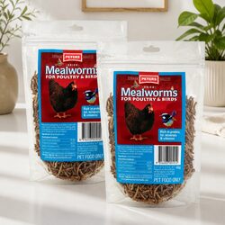 Dried Mealworms for Poultry Birds 100g x2 High Protein Natural Treat Chickens