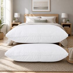 Detailed Specifications of Duck Feather Down Pillow Twin Pack