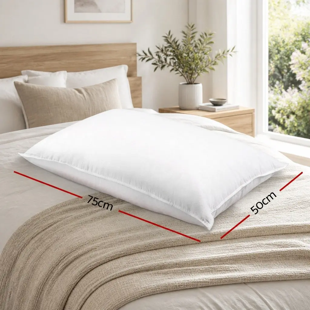 Duck Feather Down Pillow Set for Bedroom 73 x 48cm White