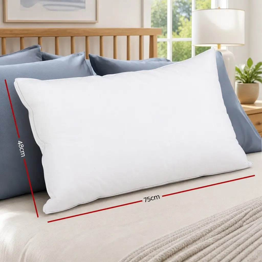 Goose Feather Down Pillow Set