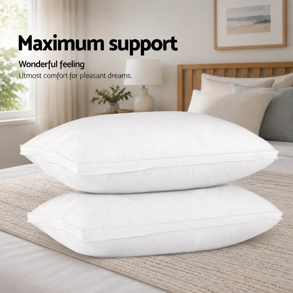 Goose Feather Down Pillow Set
