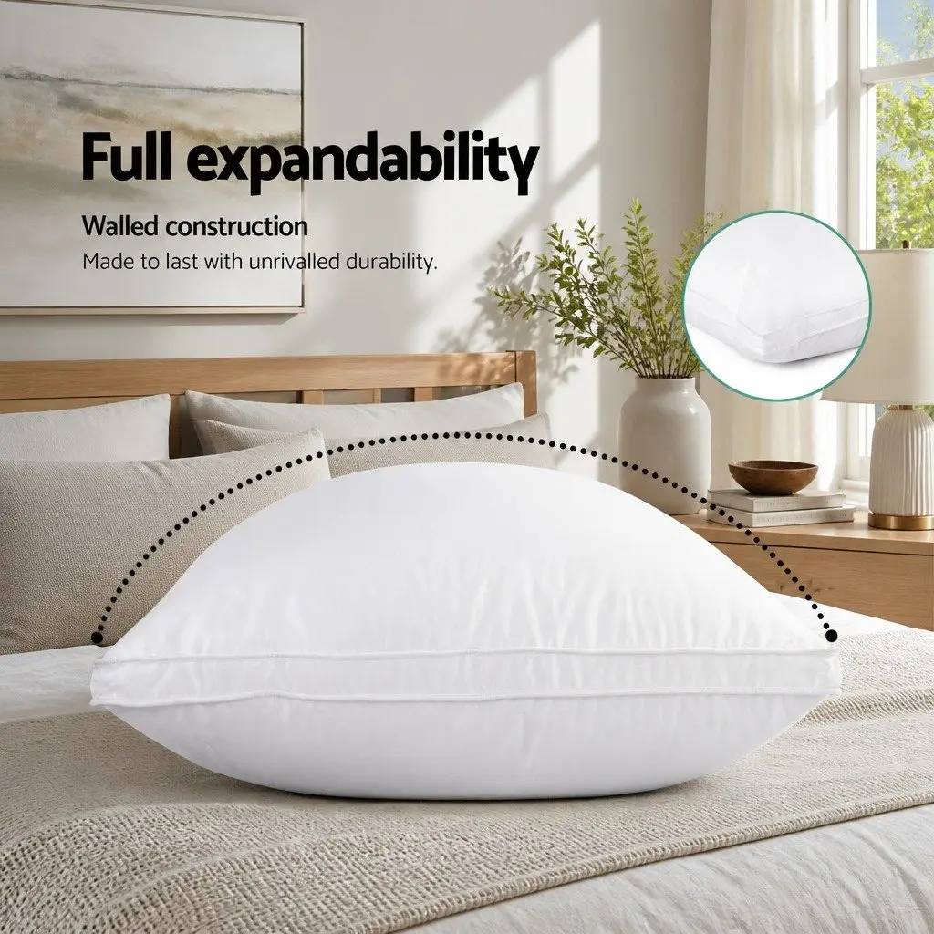 Goose Feather Down Pillow Set