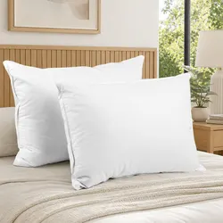 Specifications of Goose Feather Down Pillow Twin Pack