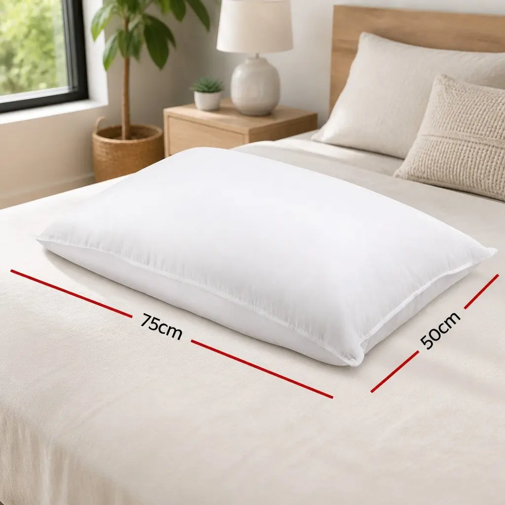 Goose Feather Down Pillow Twin Pack