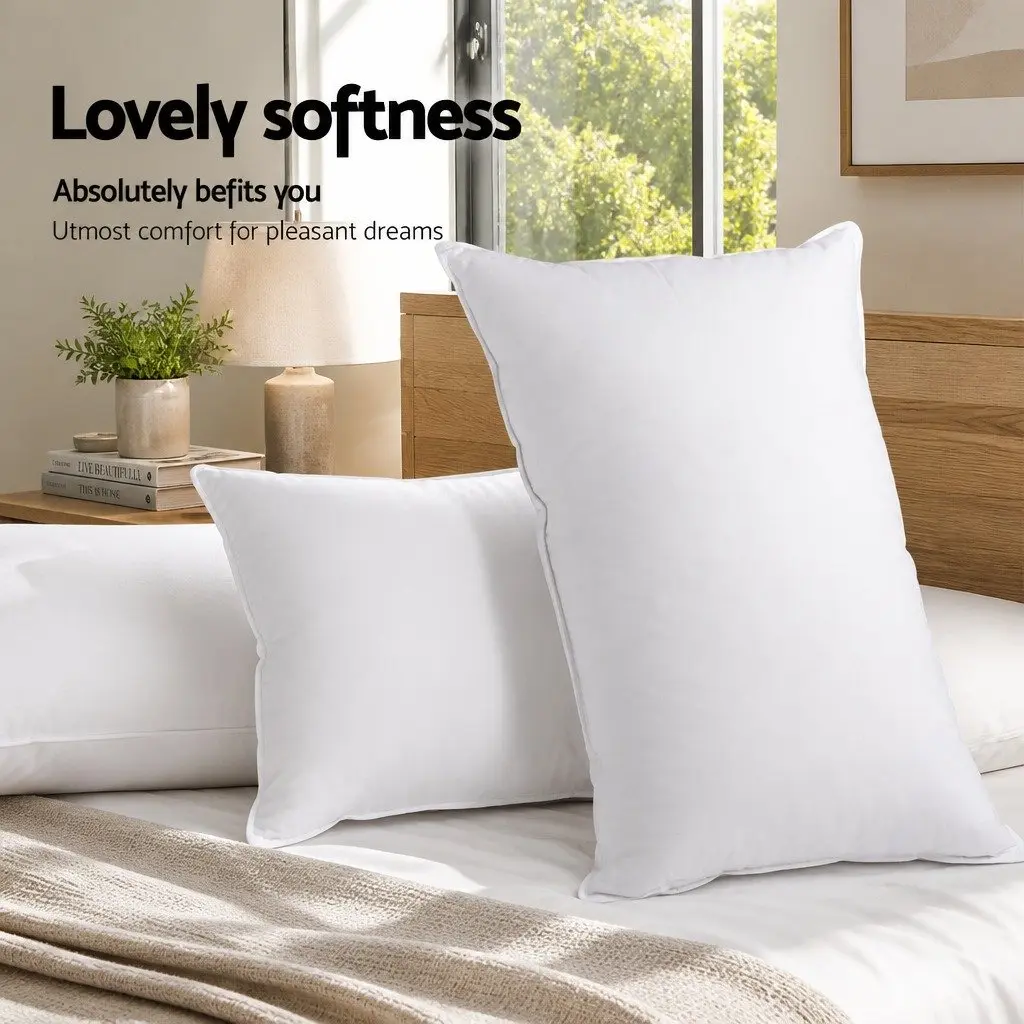 Goose Feather Down Pillow Twin Pack