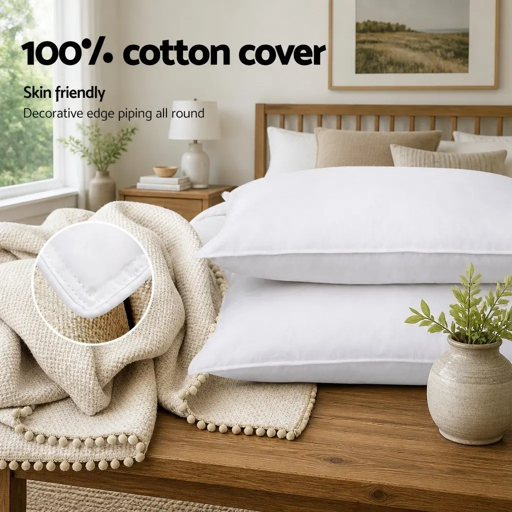 Goose Feather Down Pillow Twin Pack
