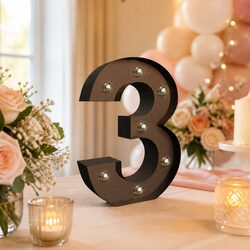Specifications for LED Metal Letter and Number Lights