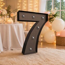 LED Letter and Number Lights Specifications and Features