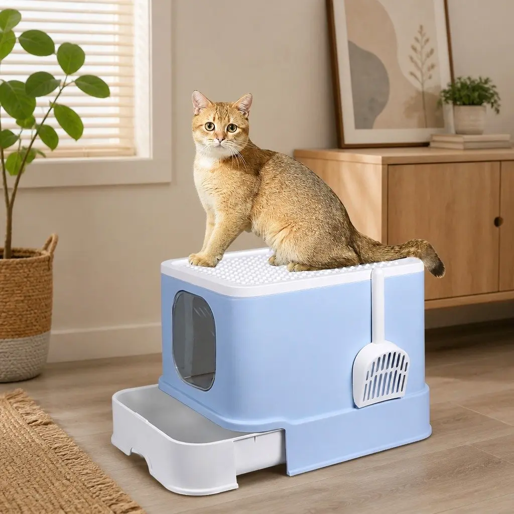 Blue Enclosed Cat Litter Box