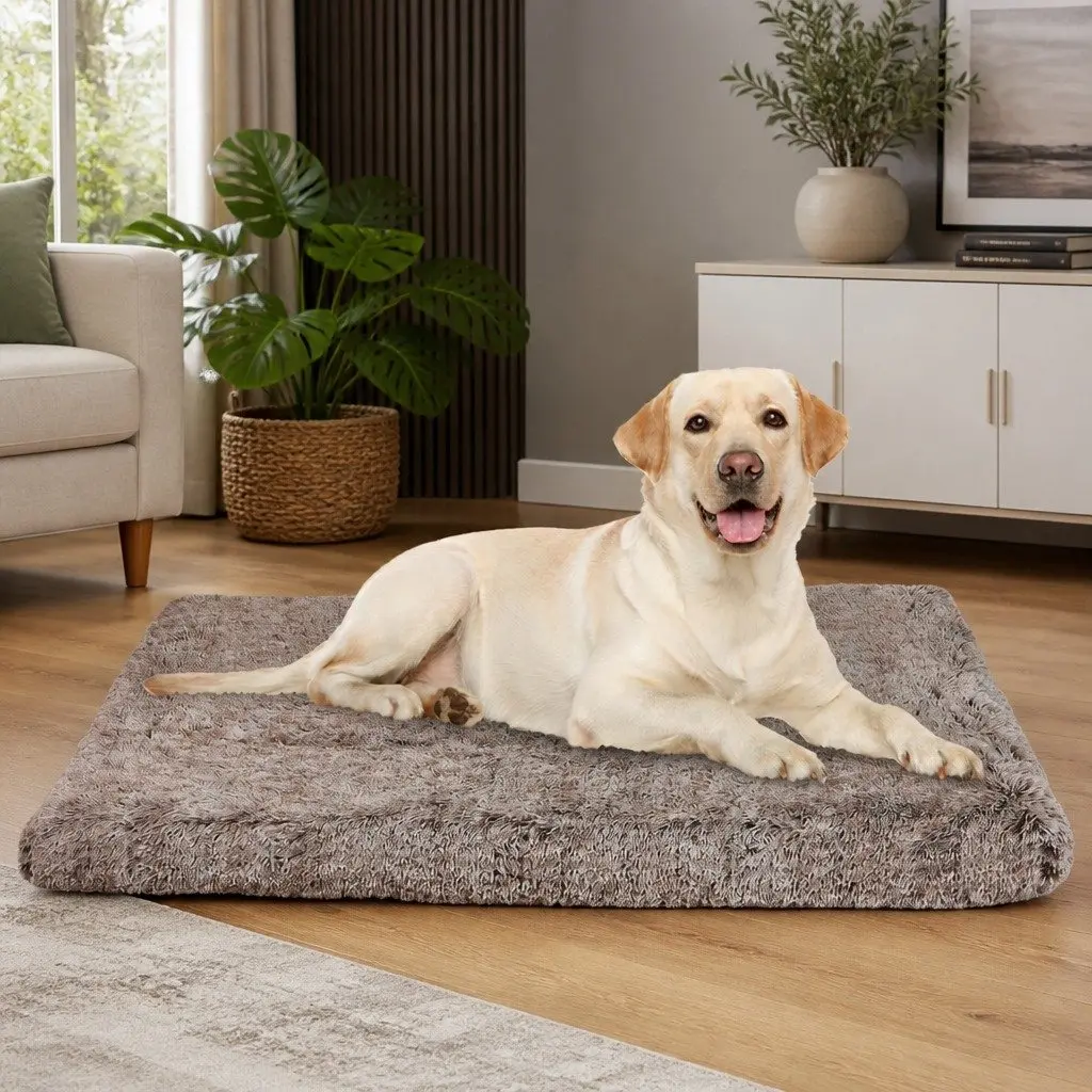 Large Coffee Memory Foam Dog Bed