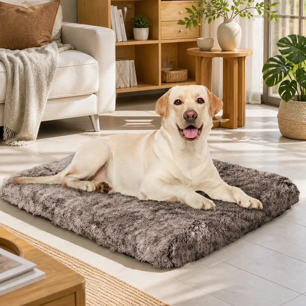 Large Coffee Memory Foam Dog Bed