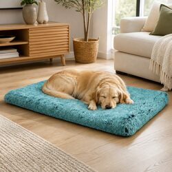 XXL Pet Bed Dimensions: 160cm x 120cm x 11cm