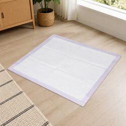 Pet Dog Toilet Training Pad - 60cm x 60cm, Absorbent